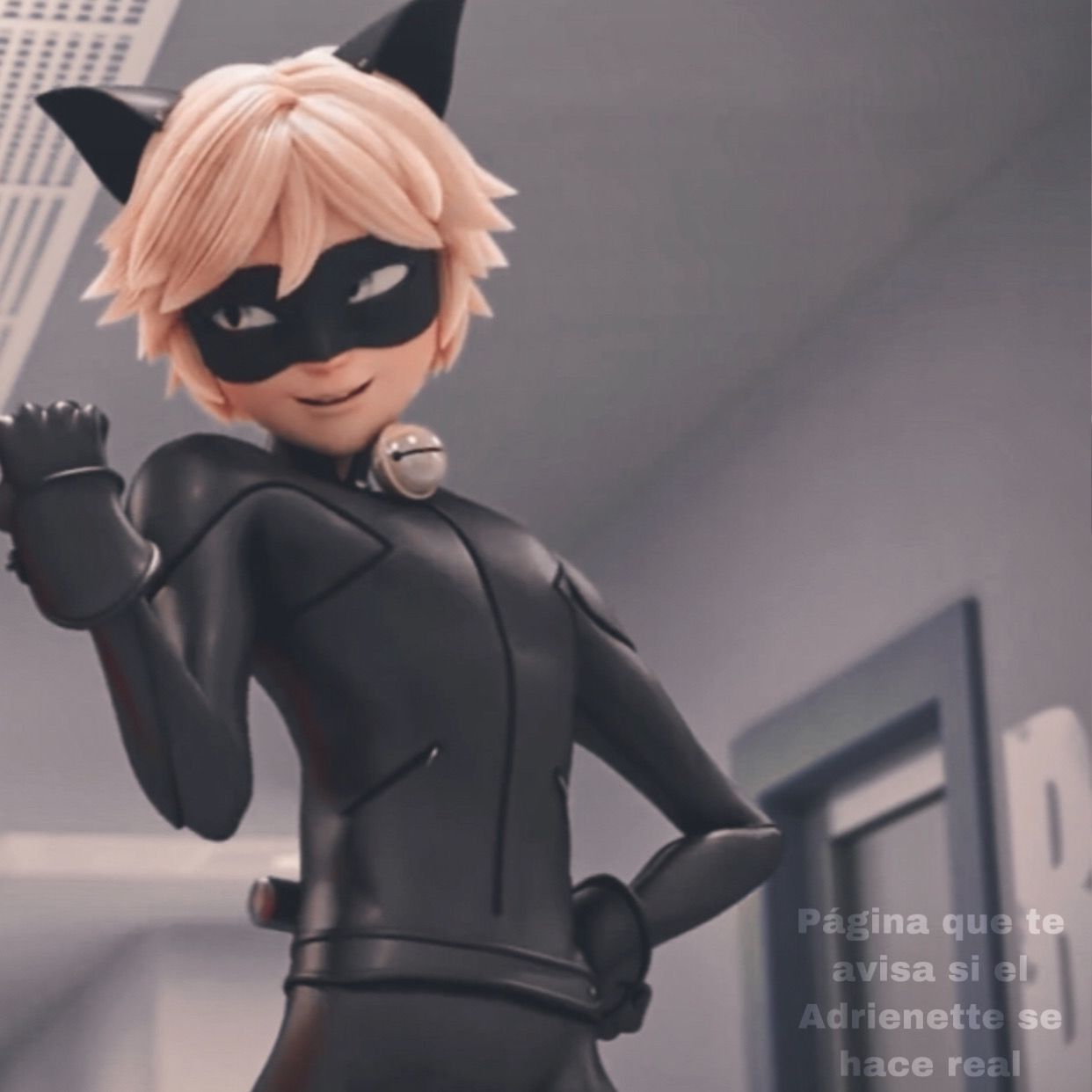 Featured image of post Aesthetic Cat Noir Pfp