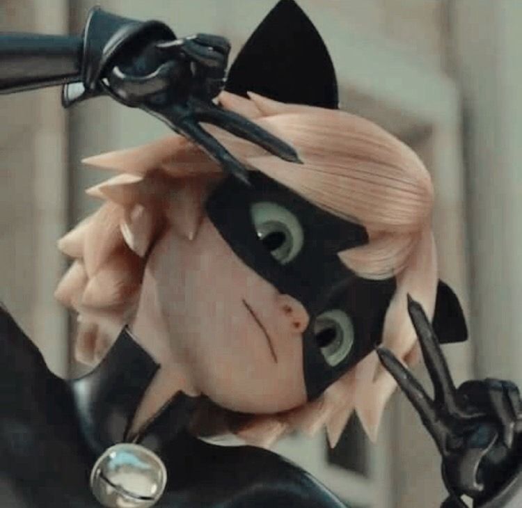 Featured image of post Aesthetic Miraculous Cat Noir Pfp