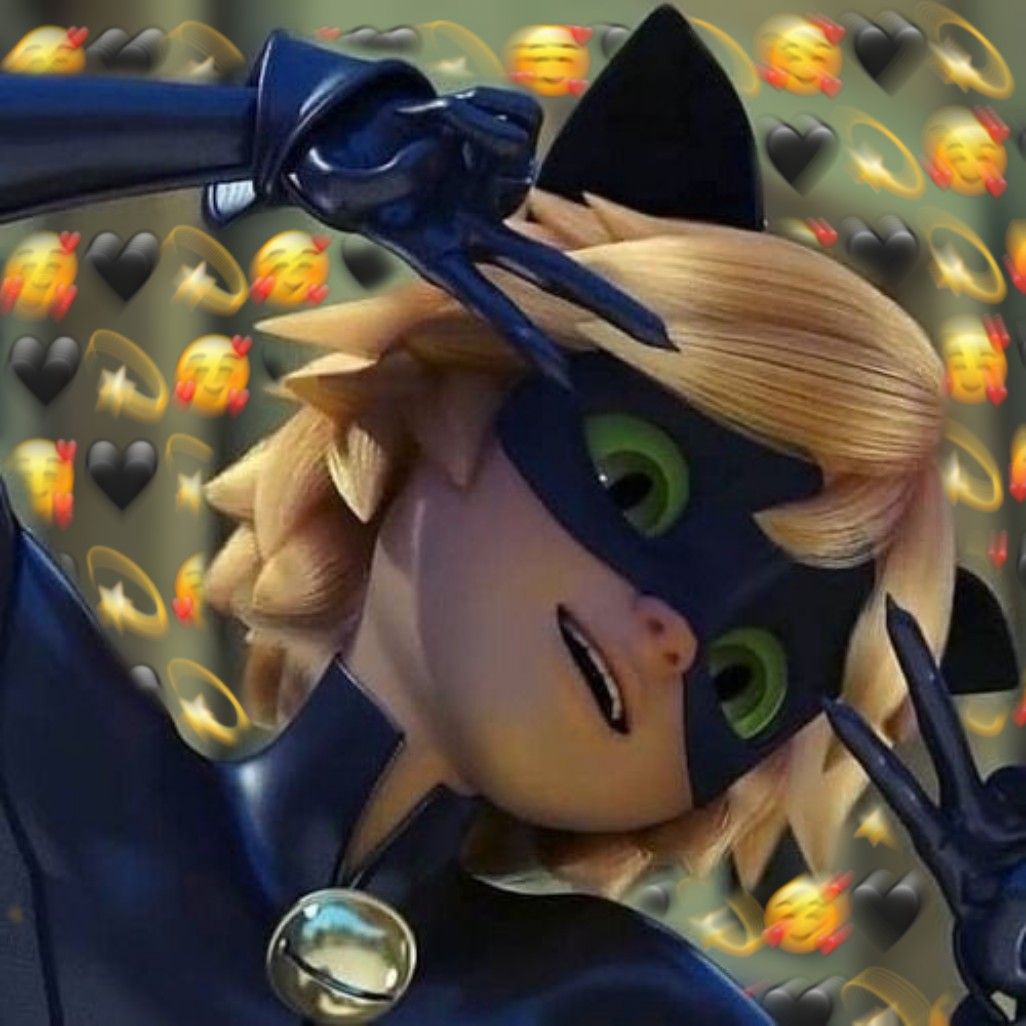 Featured image of post Cat Noir Pfp Aesthetic Miraculous Ladybug Pfp