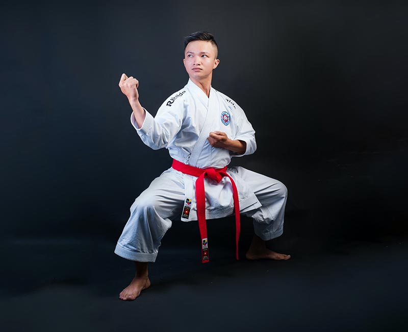 Featured image of post Fighting Stances Martial Arts